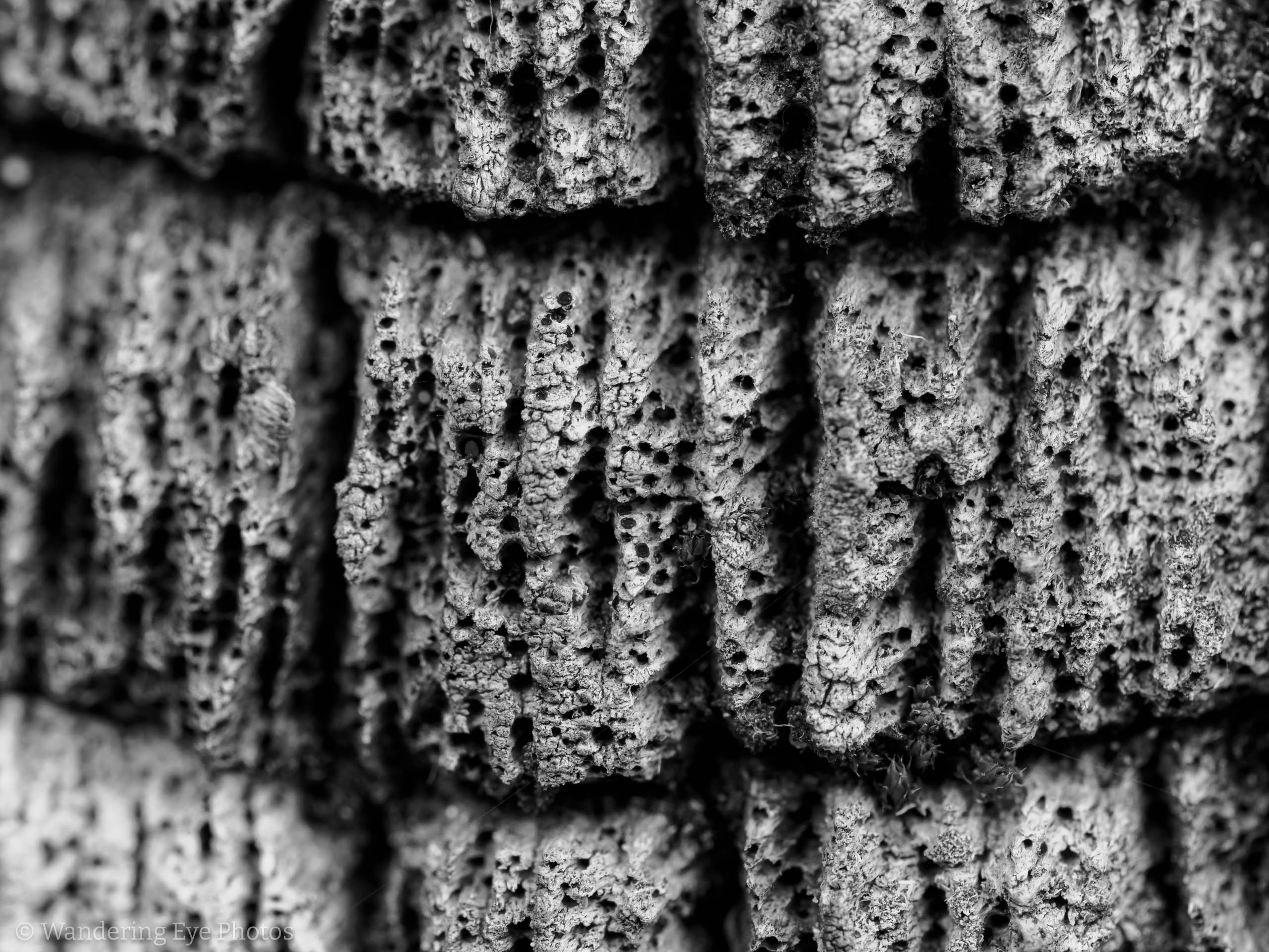 11.09 14.42.11   PB090492